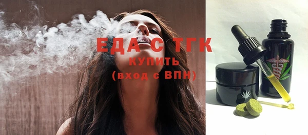 гидра Верхний Тагил