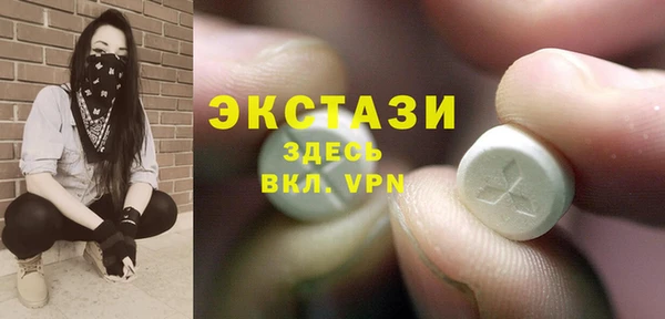 гидра Верхний Тагил