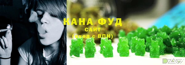 гидра Верхний Тагил