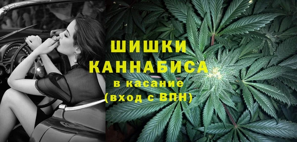 гидра Верхний Тагил