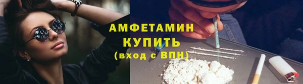 гидра Верхний Тагил