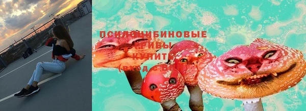 гидра Верхний Тагил