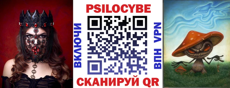 дарк нет официальный сайт  Кириши  Псилоцибиновые грибы прущие грибы 